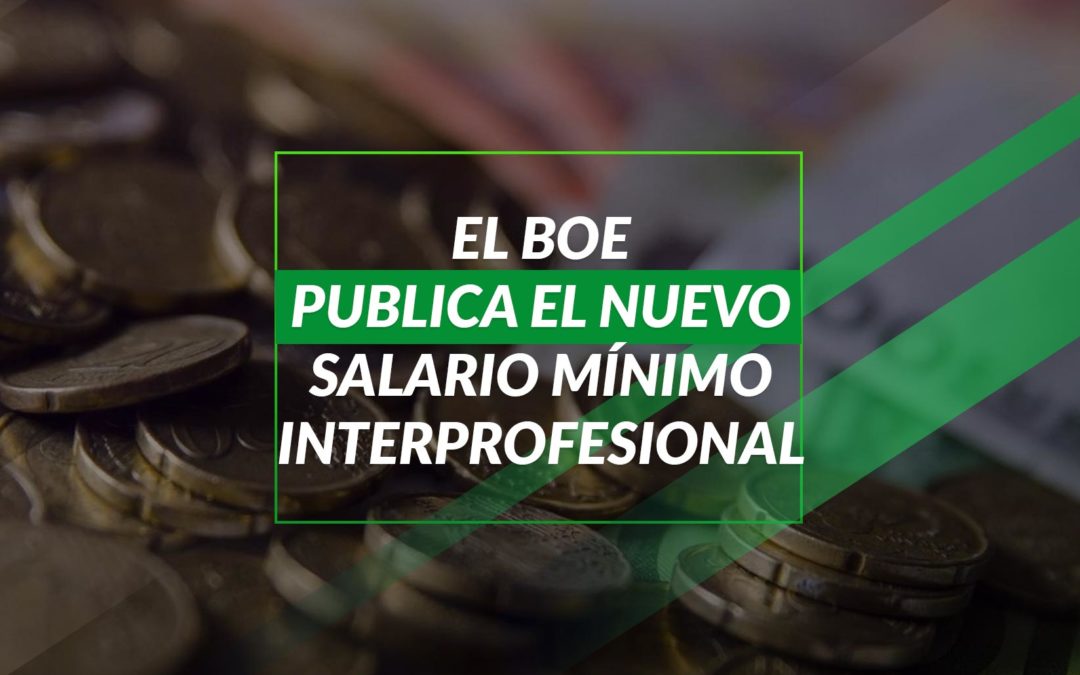 El BOE publica el nuevo Salario Mínimo Interprofesional